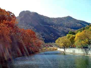 澳门二四六天天彩图库，仙骨风流